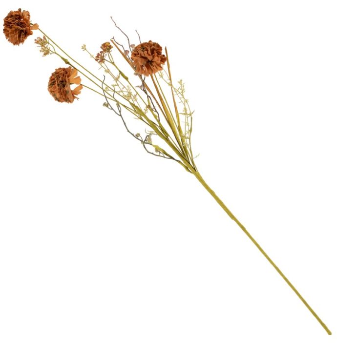 Veldboeket craspedia 74cm bruin