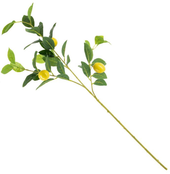 Kunsttak citroen real touch