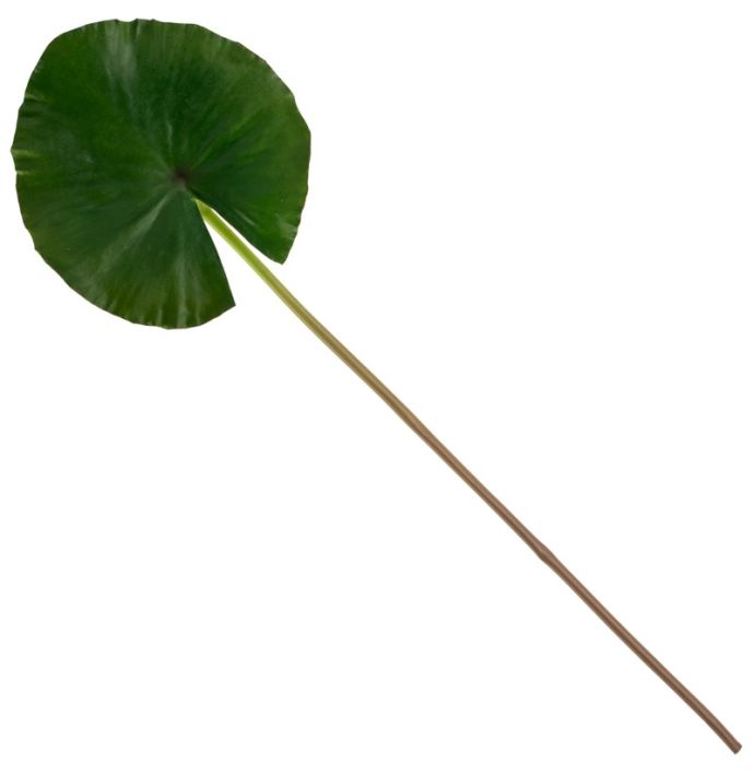 Kunsttak lotusblad 74cm