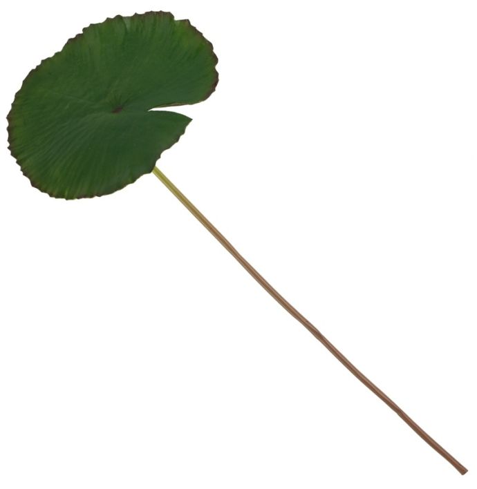 Kunsttak lotusblad 80cm