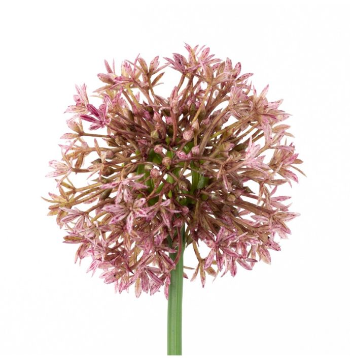 Kunstbloem lente-ui bol 68cm fuchsia