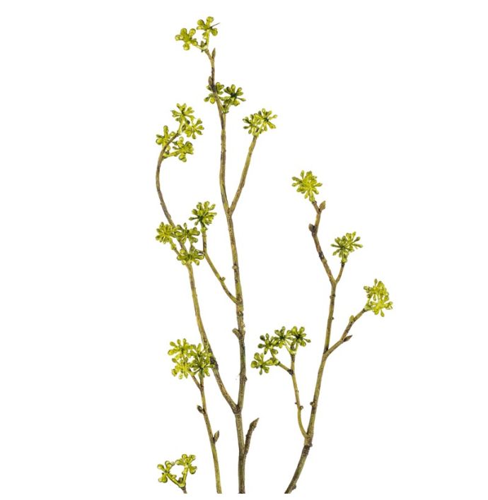 Kunsttak rijstbloem 56cm groen