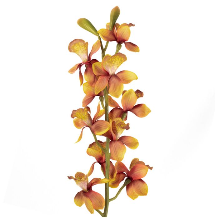 Kunsttak cymbidiumorchidee oranje