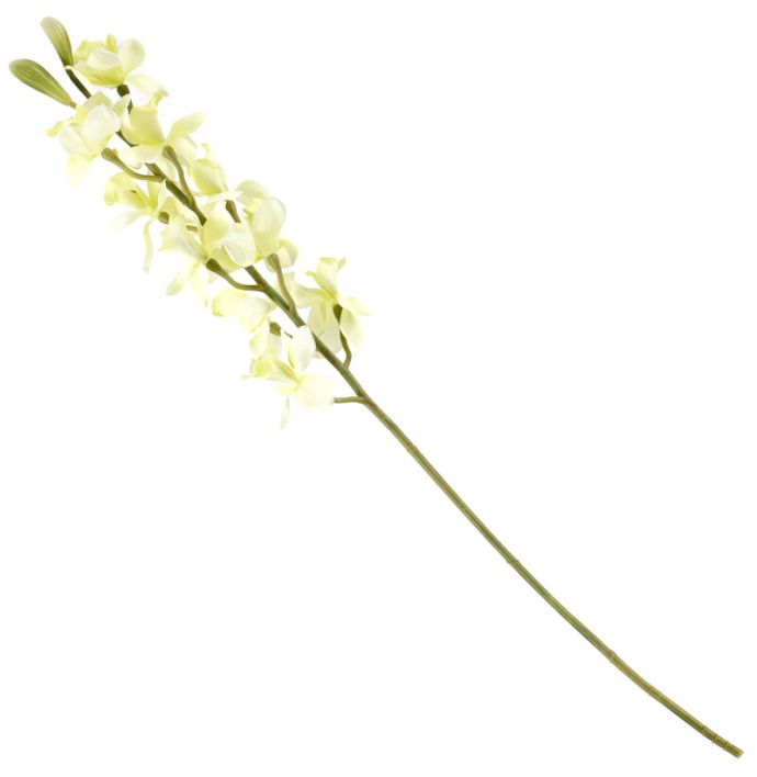 Kunsttak cymbidiumorchidee wit