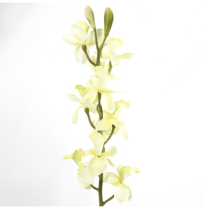 Kunsttak cymbidiumorchidee wit