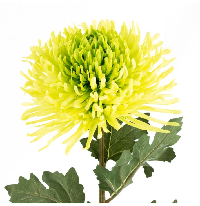 Kunstbloem chrysant groen