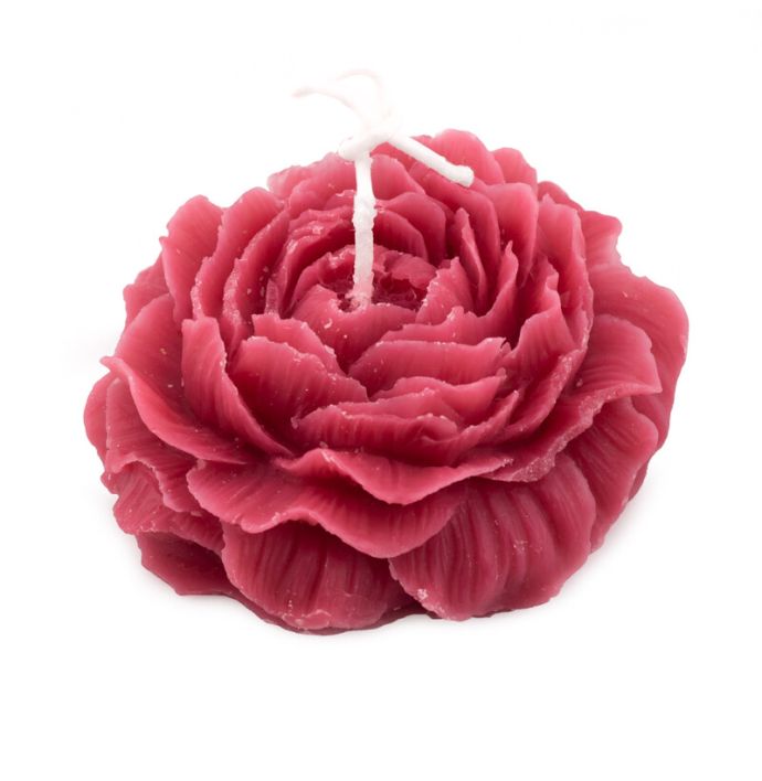 Soyakaars roos fuchsia