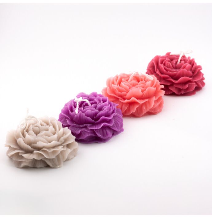 Soyakaars roos fuchsia