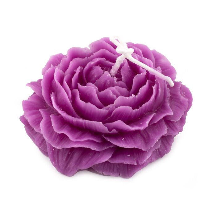 Soyakaars roos paars