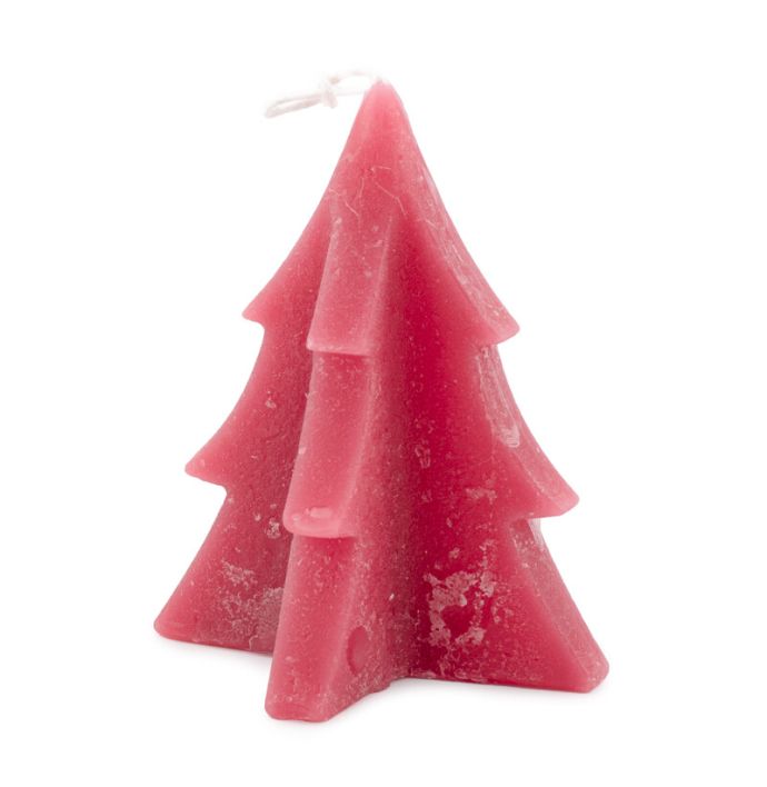 Soyakaars denneboom fuchsia