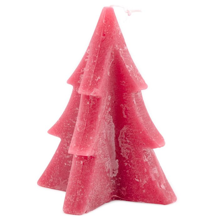 Soyakaars denneboom fuchsia