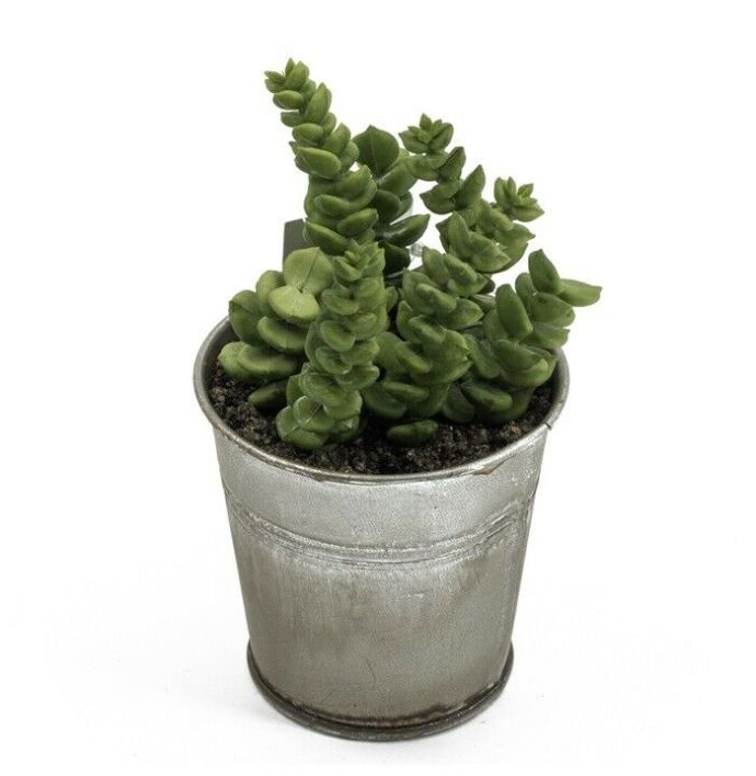 Succulent kunst in potje