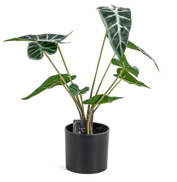 Alocasia kunstplant in pot