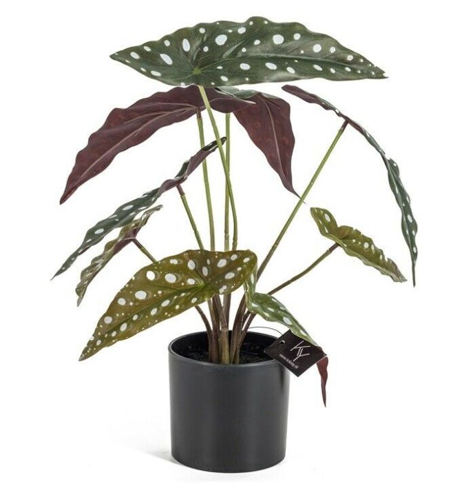 Stippen kunstplant in pot