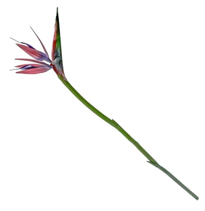 Kunstbloem Strelitzia roze