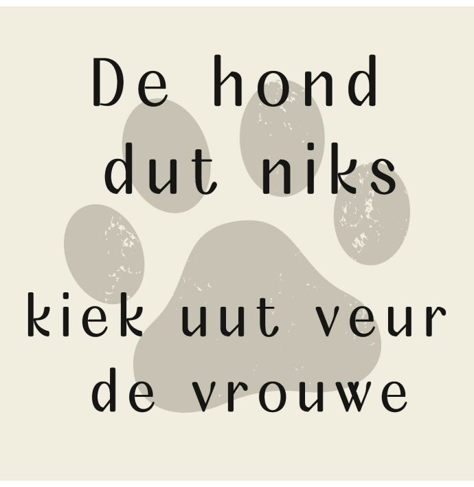 Tegeltje 'De hond dut niks'