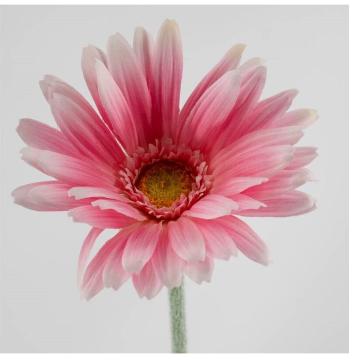 Kunstbloem Spaanse margriet roze
