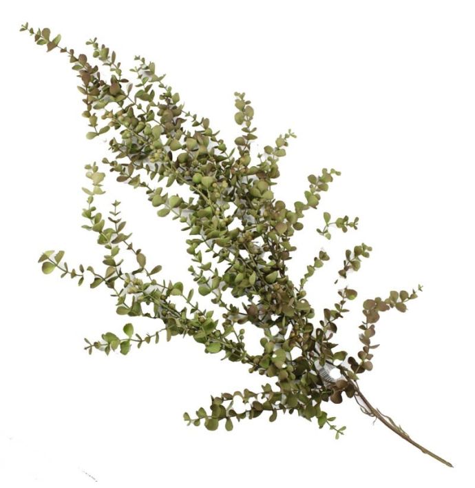 Kunsttak Eucalyptus hangend