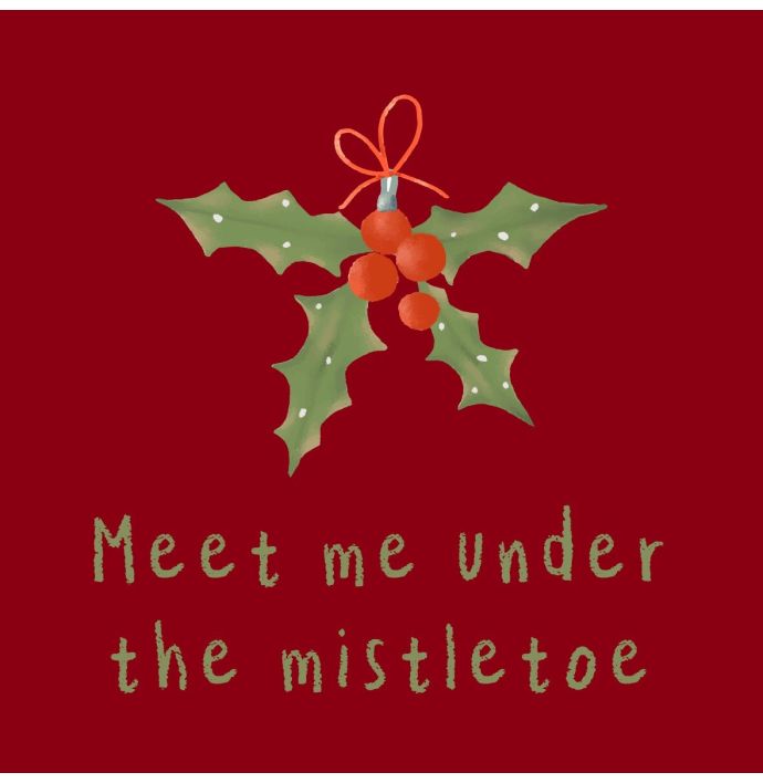Tegeltje 'Meet me under the mistletoe'