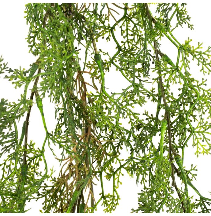 Kunsttak hangend citroenkruid