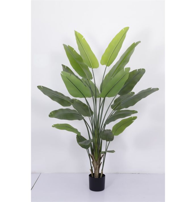 Kunstplant Strelitzia 230cm