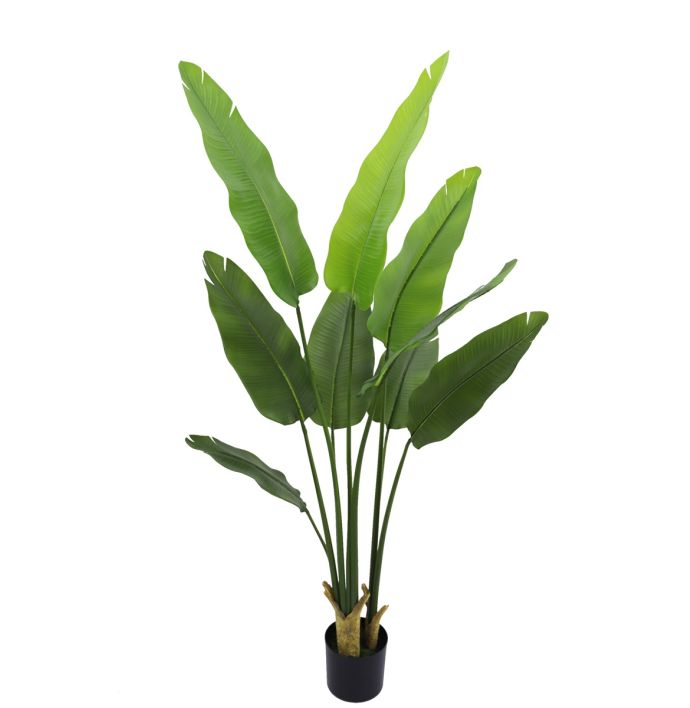 Kunstplant Strelitzia real touch 180cm