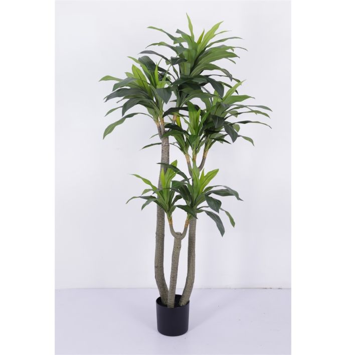 Kunstboom Dracaena real touch 185cm