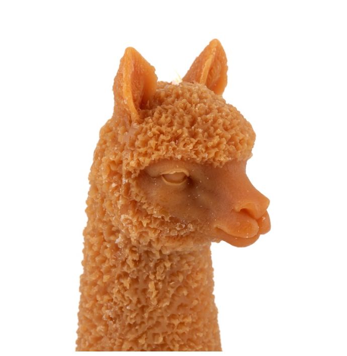 Kaars alpaca