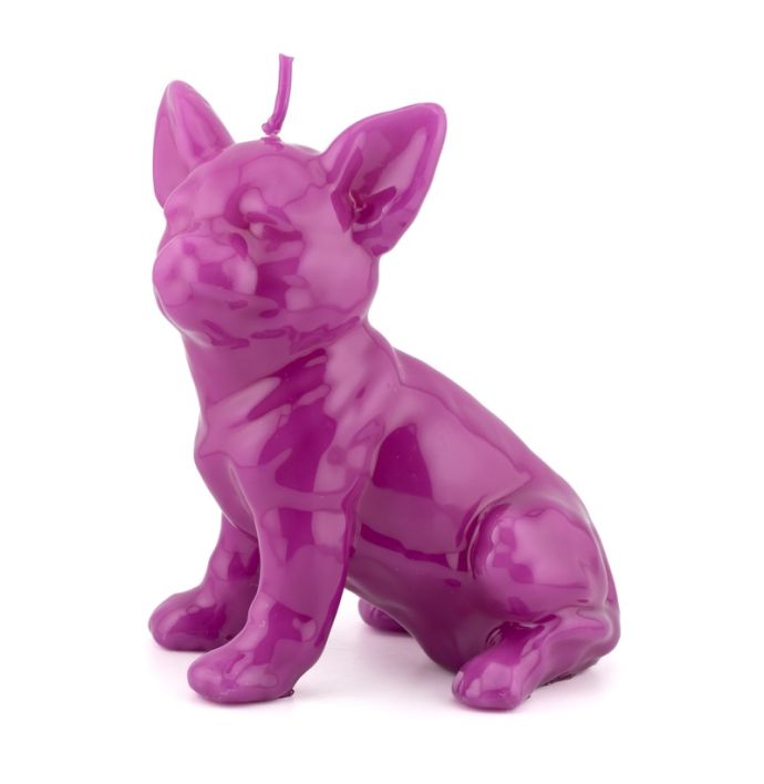 Kaars chihuahua paars