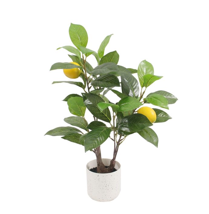 Kunstplant Lemo citroen 50cm
