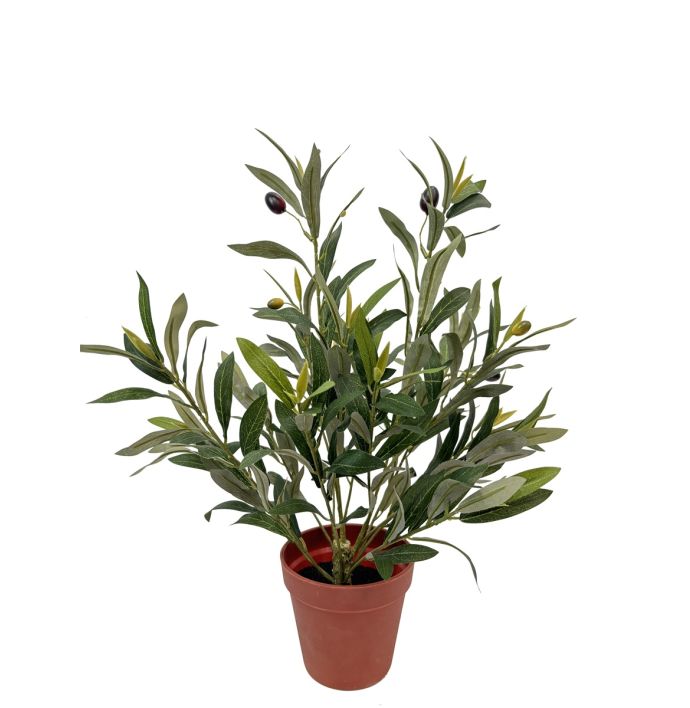 Kunstplant Olivo olea europaea 47cm 