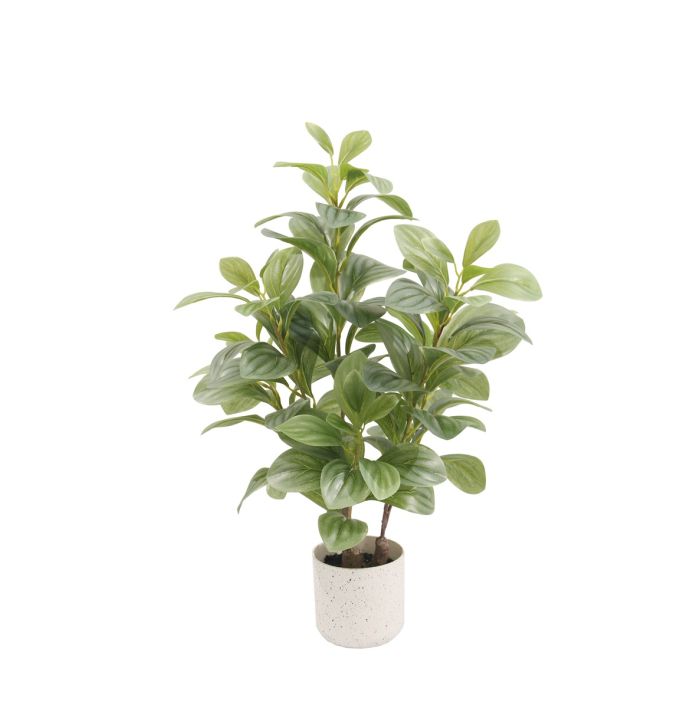 Kunstplant Pepi peperomia 55cm