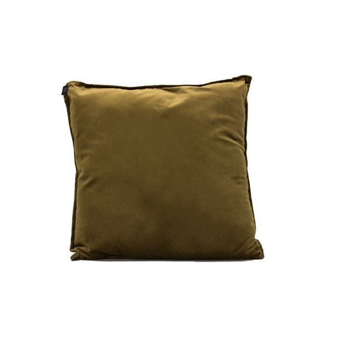 Velvet kussen goud