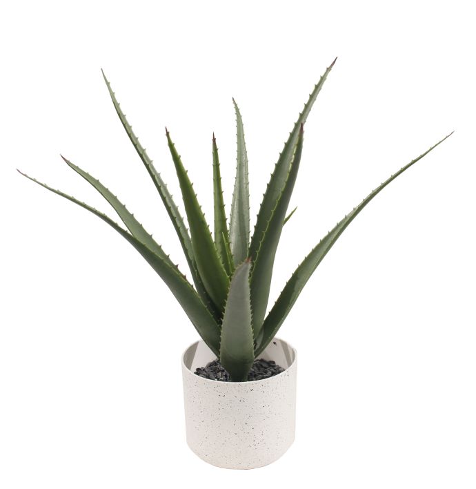 Kunstplant Alva aloë vera 45cm
