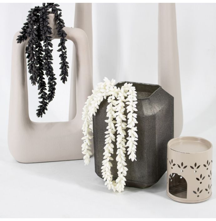 Erwten plant cream