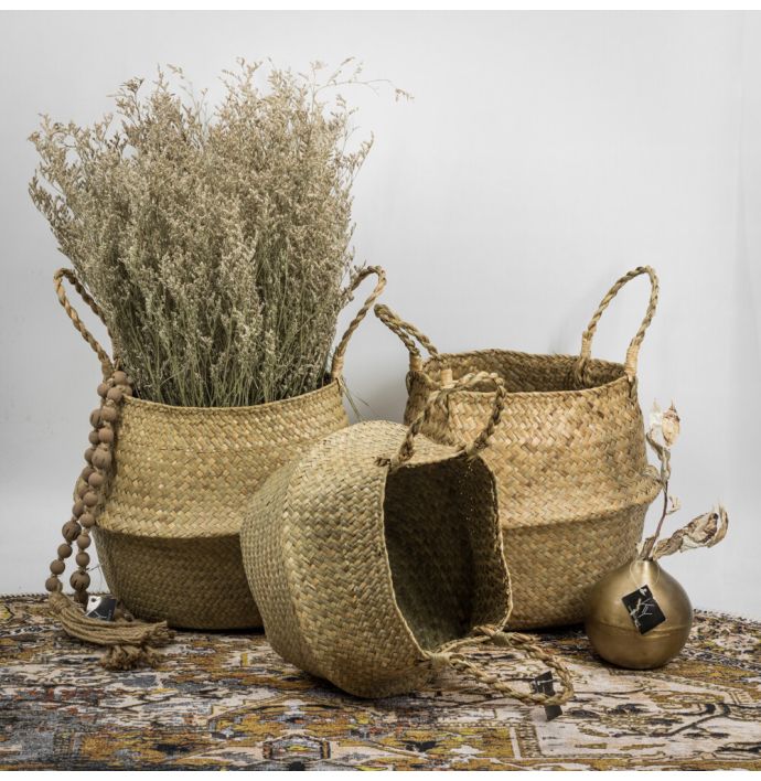Slangenmand rotan