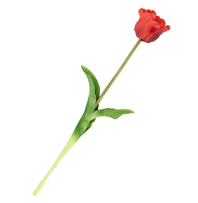 Kunst tulp open real touch rood