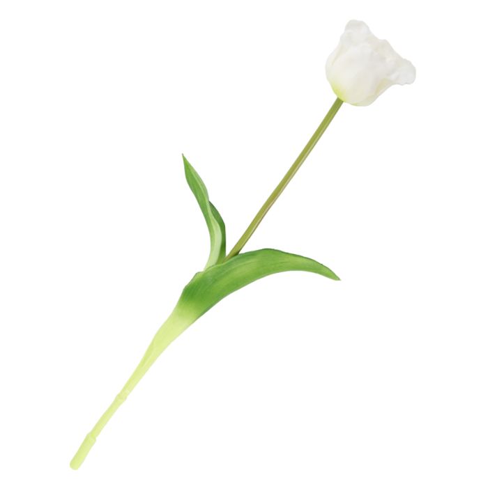 Kunst tulp open real touch wit