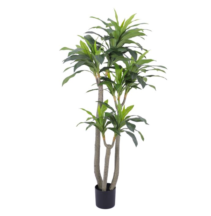 Kunstboom Dracaena real touch 185cm