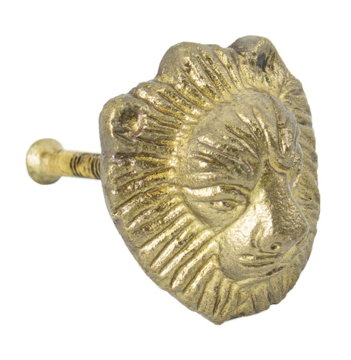 Knopje leeuw goud