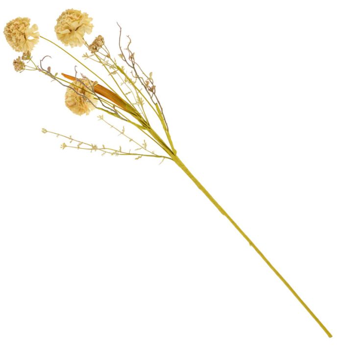 Veldboeket craspedia 74cm geel