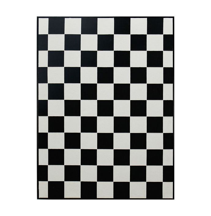 Schilderij illusie zwart/wit 60x80cm