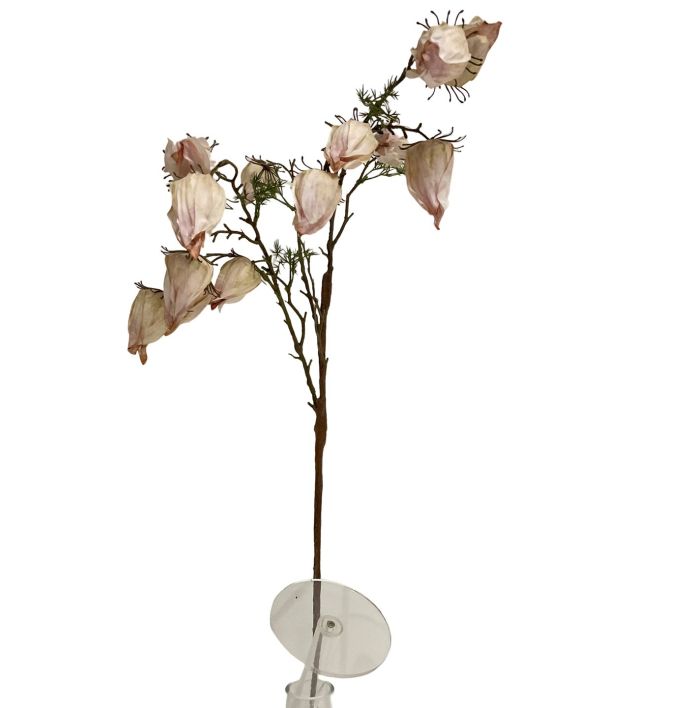 Kunsttak Leucocoryne off-white