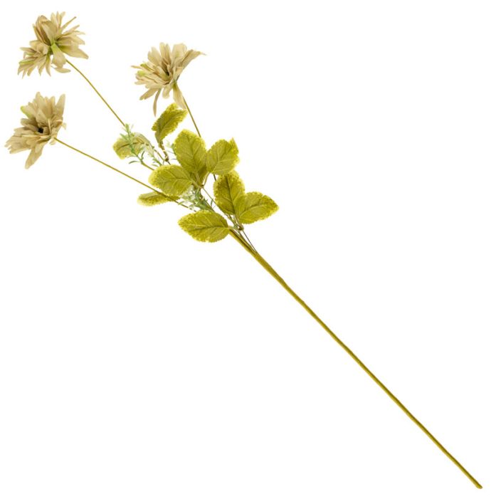 Veldboeket rudbeckia 79cm beige
