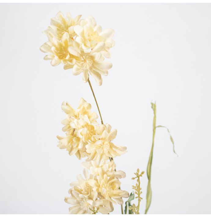 Dahlia beige wb