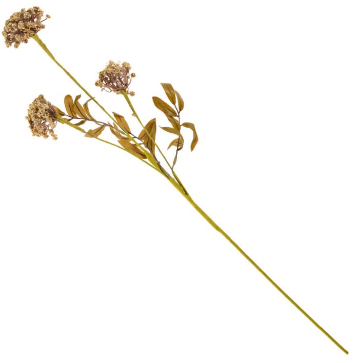 Veldboeket skimmia 80cm beige