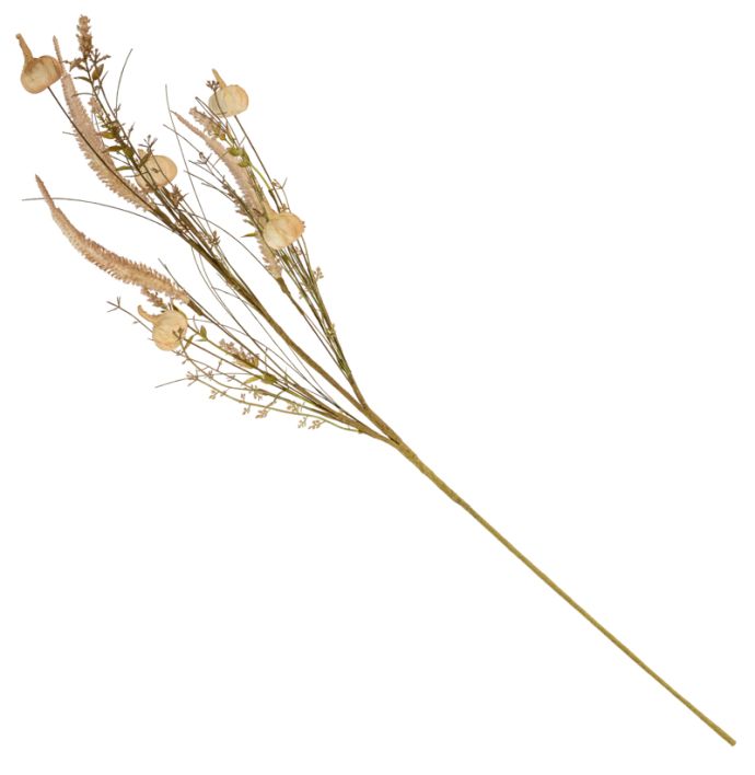 Knoflook beige