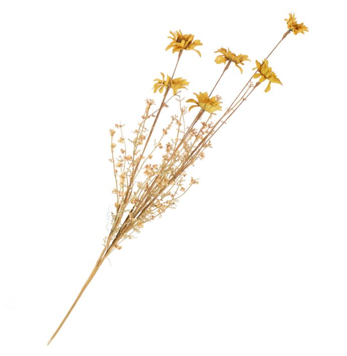 Perennial geel