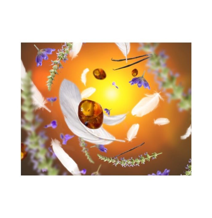 Maison Berger night & day capsule Aroma Dream