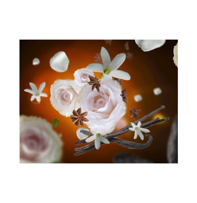 Maison Berger night & day capsule Aroma Relax